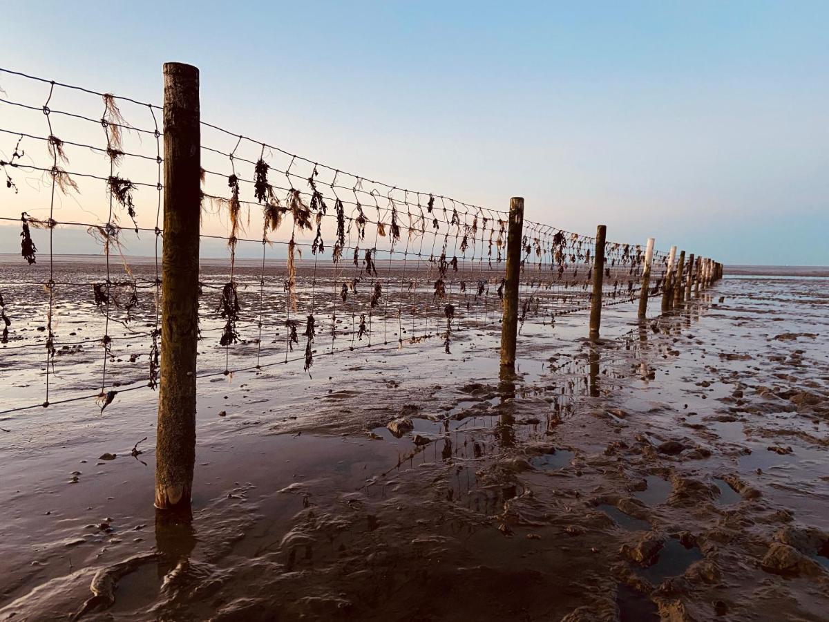 Ferien Im Wangerland Ferienwohnung Insel Minsen Schillig Hund Pool Sauna Dış mekan fotoğraf